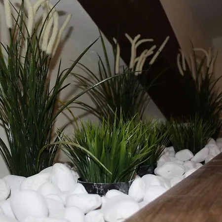 El Escondite De Castroserna Casa rural *